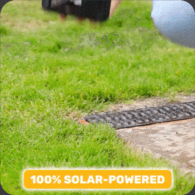 Star Bright Swivel Lights