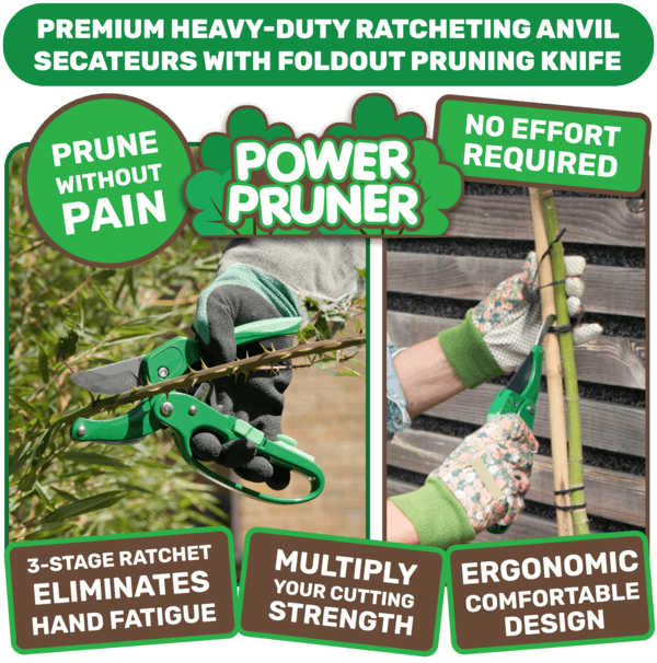 Power Pruner