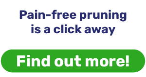 Pain-free pruning is a click away