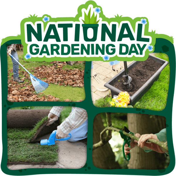 Must Haves you may have missed