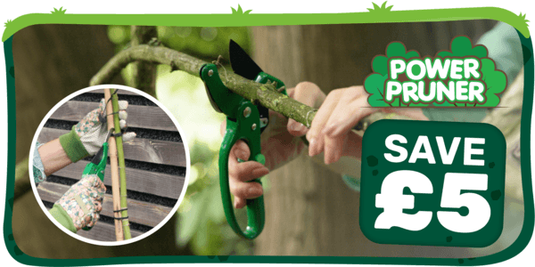 Power Pruner