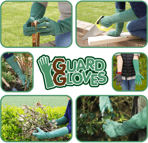 Guard Glovess Montage