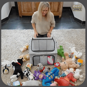Smart Space 66L