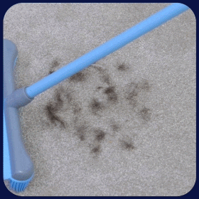 Better Brush