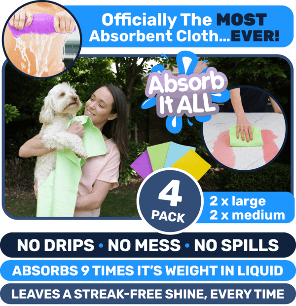 AbsorbItAll