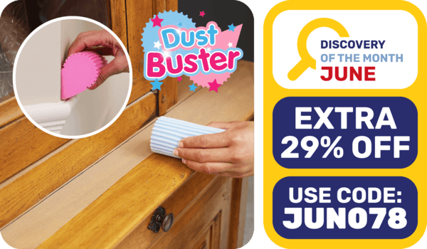 Dust Buster