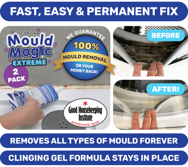 Mould Magic