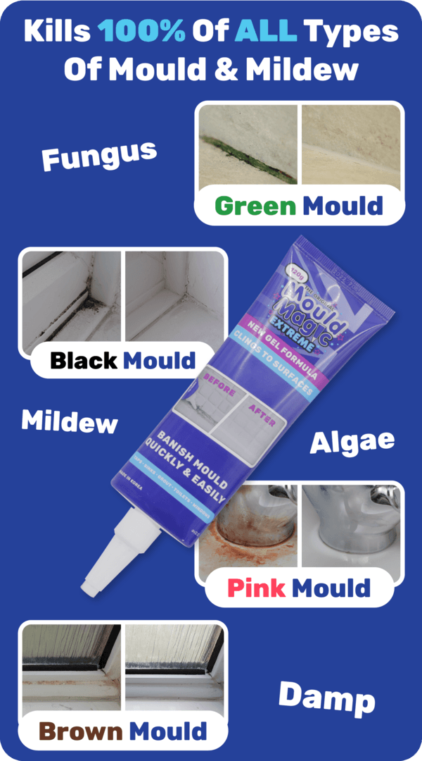 Mould Magic