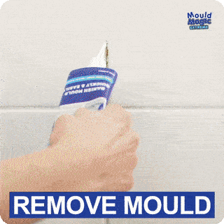 Mould Magic