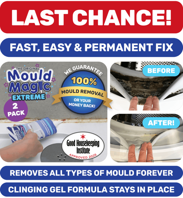 Mould Magic