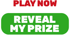 Play Now