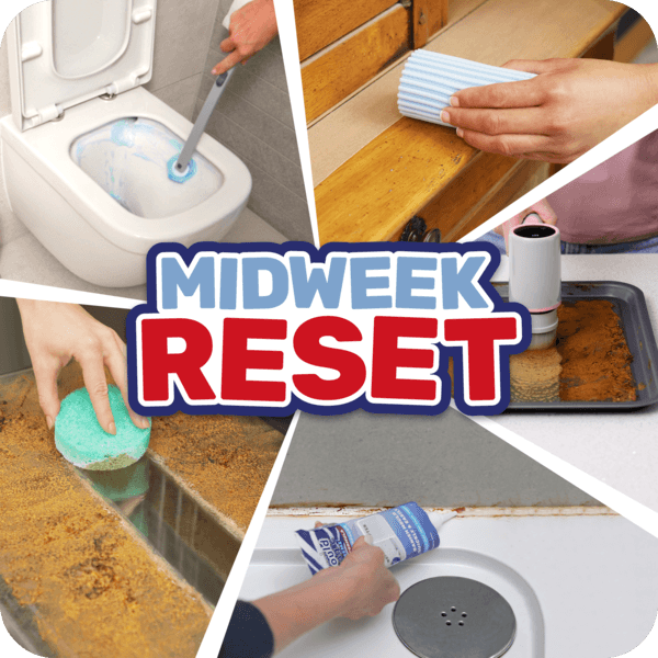 Must Haves you may have missed