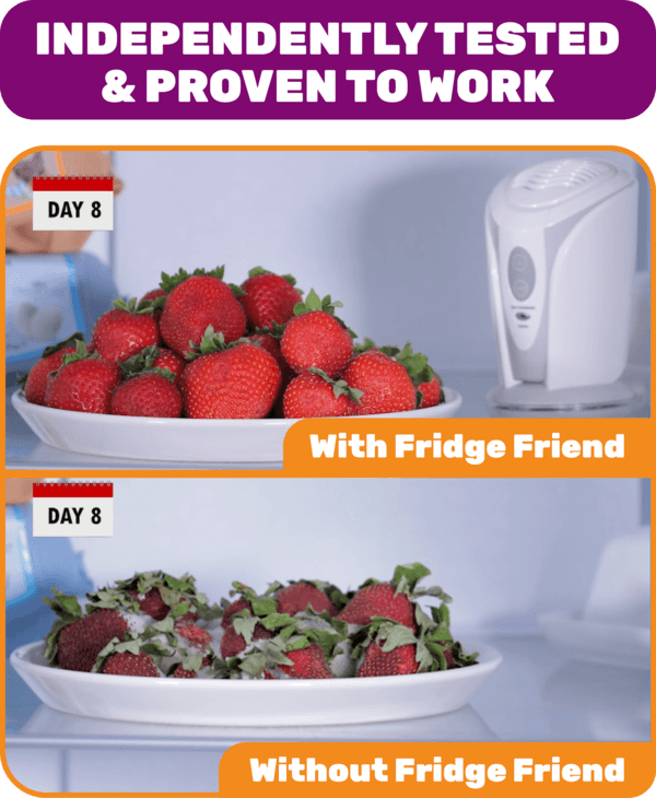 Fresher For Longer Fridge Friend  features