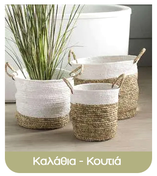 Set of three white-and-natural woven storage baskets with rope handles, decorative tall grass in the largest, on a wooden floor