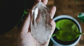 Raízes - Terapias Holísticas