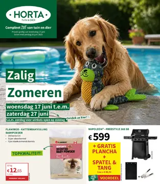 Horta