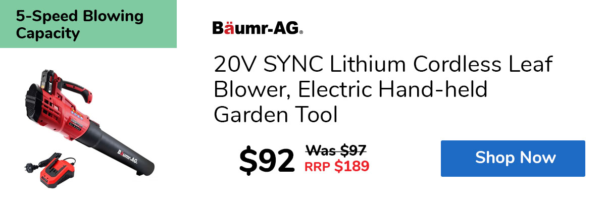 20V SYNC Lithium Cordless Leaf Blower, Electric Hand-held Garden Tool