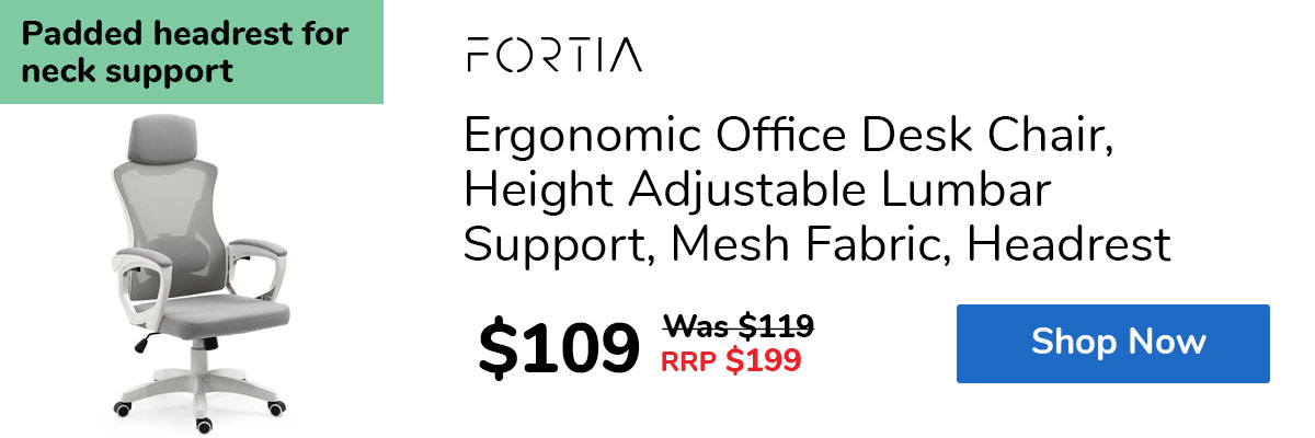 Ergonomic Office Desk Chair, Height Adjustable Lumbar Support, Mesh Fabric, Headrest