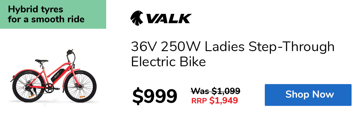 36V 250W Ladies Step-Through Electric Bike