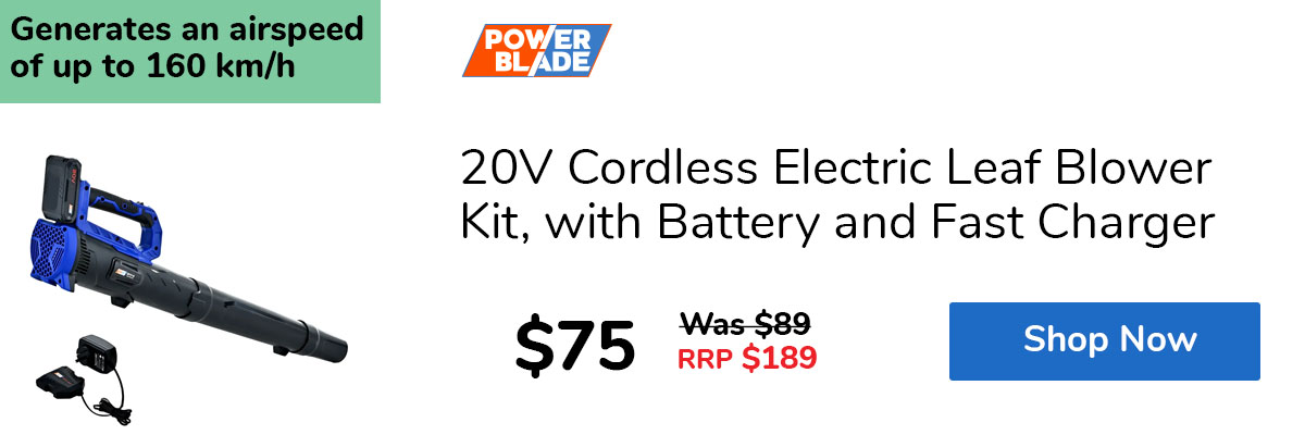 20V Cordless Electric Leaf Blower Kit, with Battery and Fast Charger