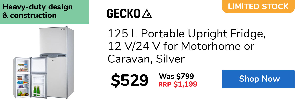 125 L Portable Upright Fridge, 12 V/24 V for Motorhome or Caravan, Silver