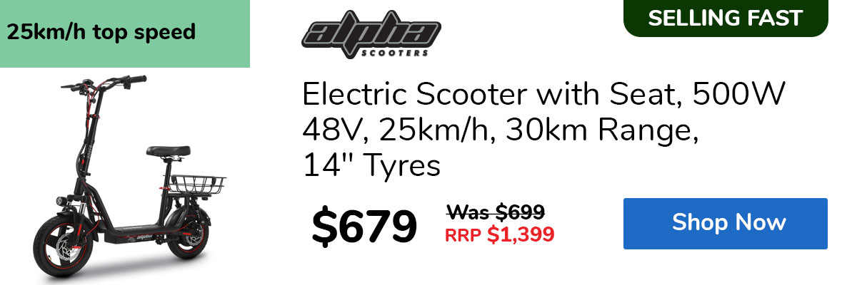 Electric Scooter with Seat, 500W 48V, 25km/h, 30km Range, 14" Tyres