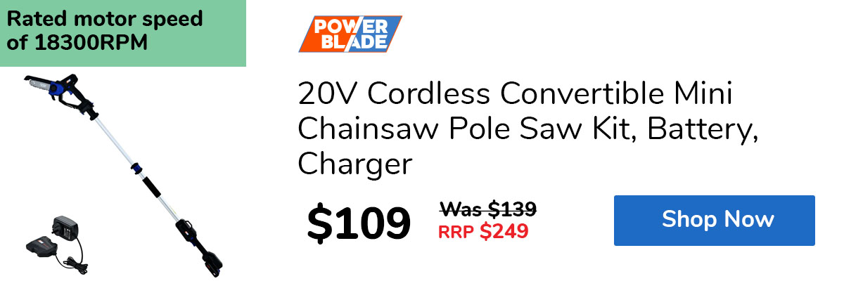 20V Cordless Convertible Mini Chainsaw Pole Saw Kit, Battery, Charger