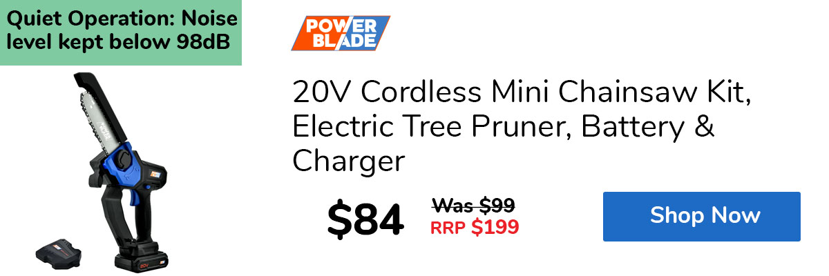 20V Cordless Mini Chainsaw Kit, Electric Tree Pruner, Battery & Charger