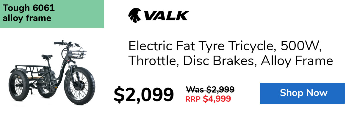 Electric Fat Tyre Tricycle, 500W, Throttle, Disc Brakes, Alloy Frame