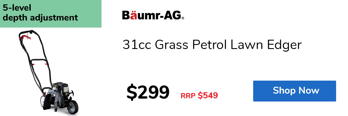 31cc Grass Petrol Lawn Edger