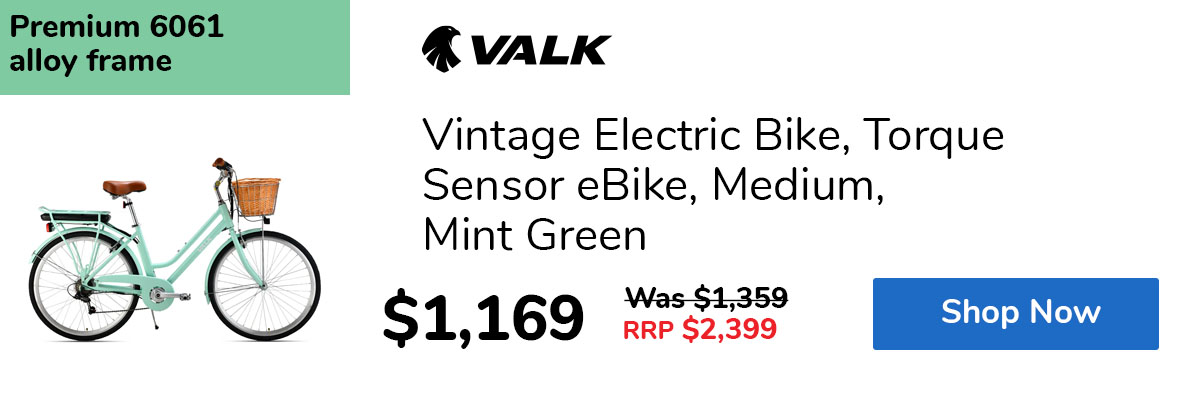 Vintage Electric Bike, Torque Sensor eBike, Medium, Mint Green