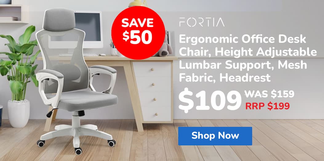 FORTIA Ergonomic Office Desk Chair, Height Adjustable Lumbar Support, Mesh Fabric, Headrest, White/Grey