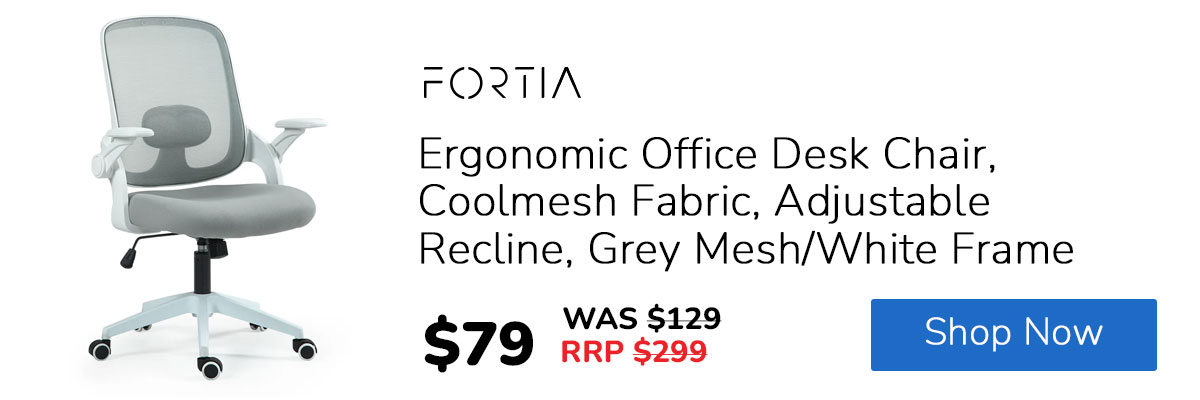 FORTIA Ergonomic Office Desk Chair, Coolmesh Fabric, Adjustable Recline, Grey Mesh/White Frame