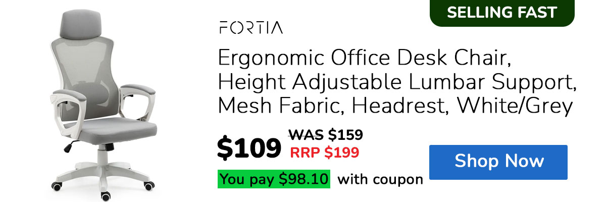 FORTIA Ergonomic Office Desk Chair, Height Adjustable Lumbar Support, Mesh Fabric, Headrest, White/Grey