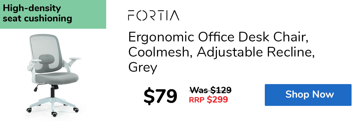 Ergonomic Office Desk Chair, Coolmesh, Adjustable Recline, Grey