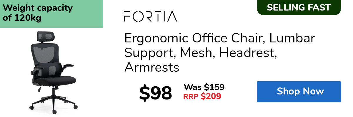 Ergonomic Office Chair, Lumbar Support, Mesh, Headrest, Armrests