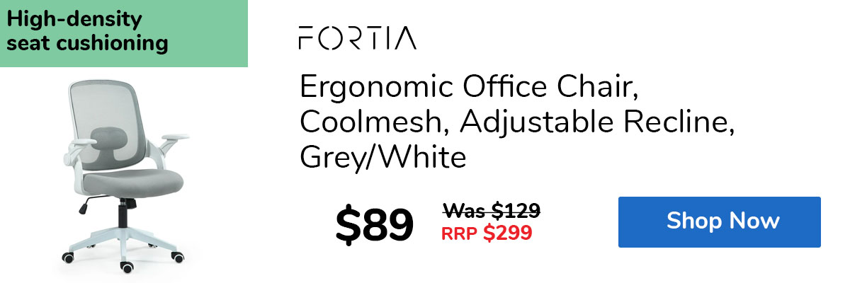 Ergonomic Office Chair, Coolmesh, Adjustable Recline, Grey/White