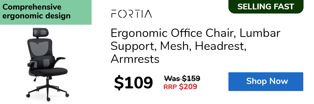 Ergonomic Office Chair, Lumbar Support, Mesh, Headrest, Armrests