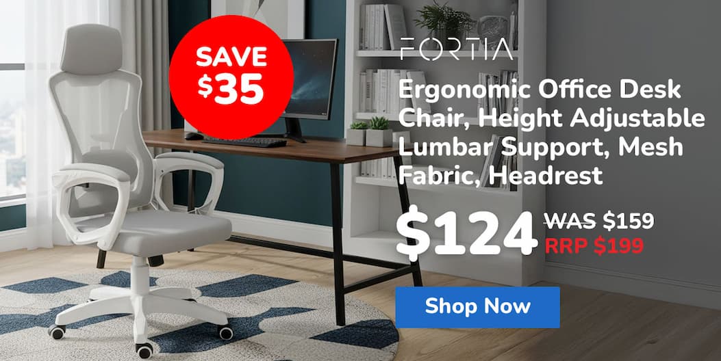FORTIA Ergonomic Office Desk Chair, Height Adjustable Lumbar Support, Mesh Fabric, Headrest, White/Grey