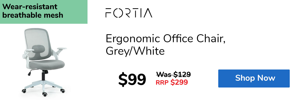 Ergonomic Office Chair, Grey/White
