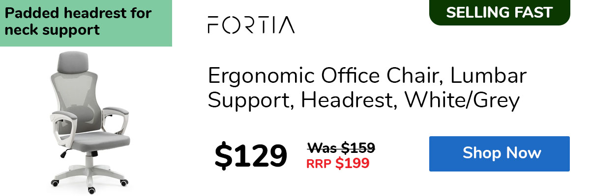 Ergonomic Office Chair, Lumbar Support, Headrest, White/Grey