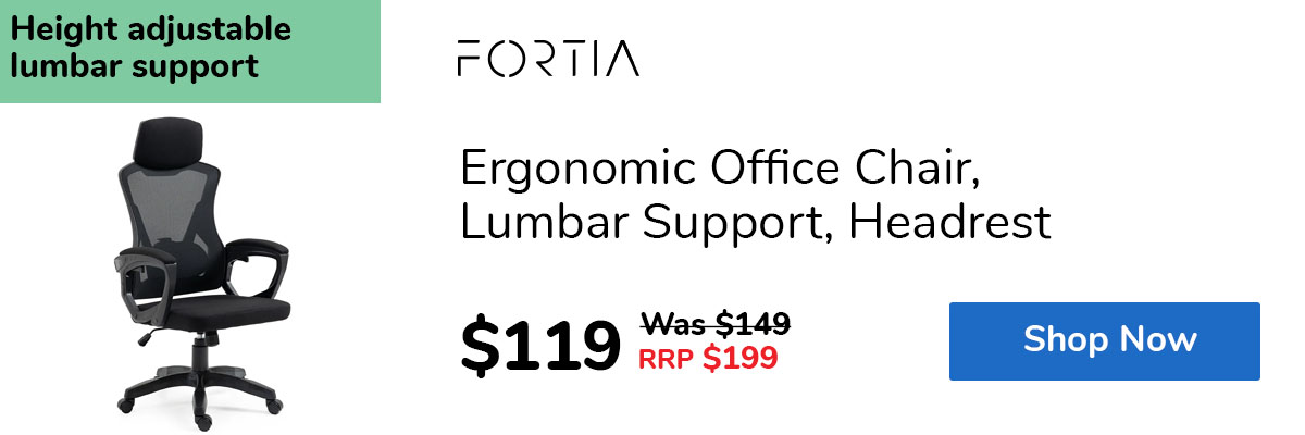 Ergonomic Office Chair, Lumbar Support, Headrest