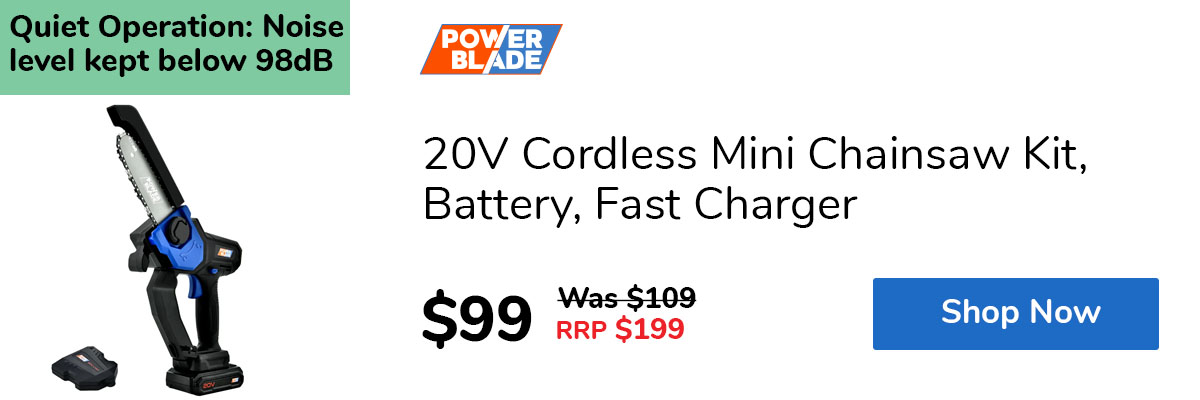 20V Cordless Mini Chainsaw Kit, Battery, Fast Charger