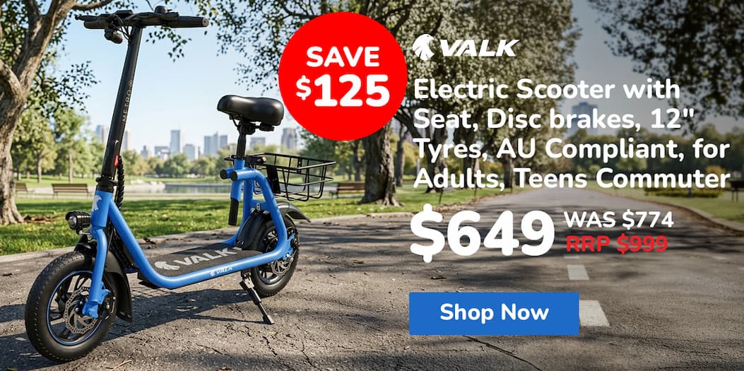 Electric Scooter with Seat