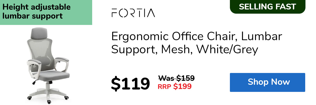 Ergonomic Office Chair, Lumbar Support, Mesh, White/Grey