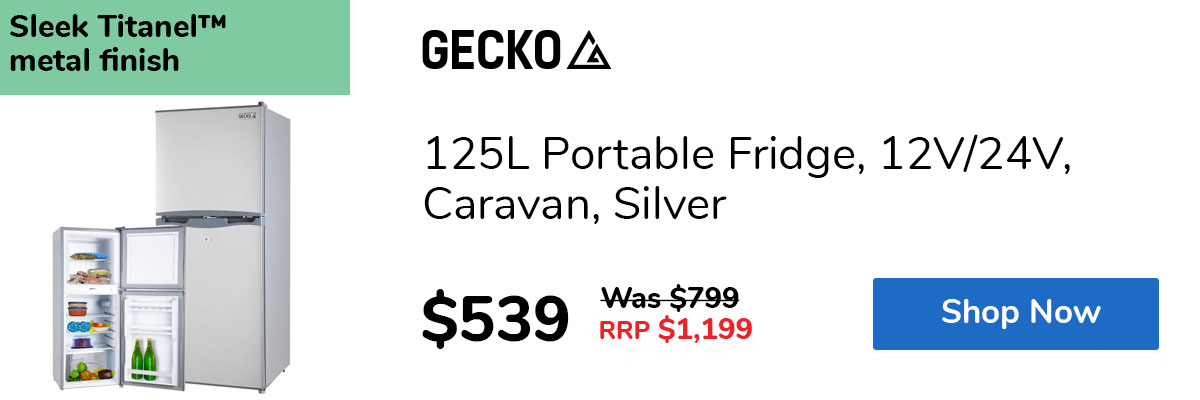125L Portable Fridge, 12V/24V, Caravan, Silver