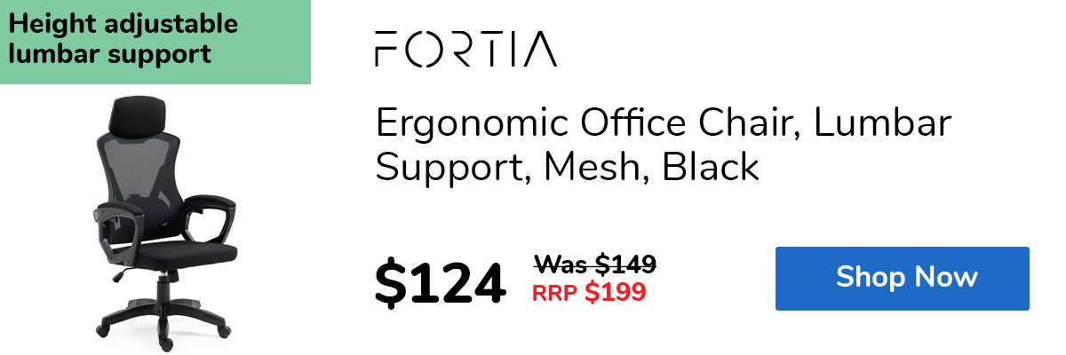 Ergonomic Office Chair, Lumbar Support, Mesh, Black