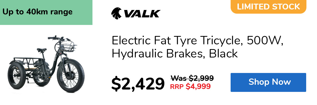 Electric Fat Tyre Tricycle, 500W, Hydraulic Brakes, Black