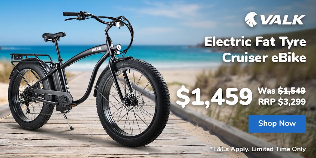 Electric Fat Tyre Cruiser eBike