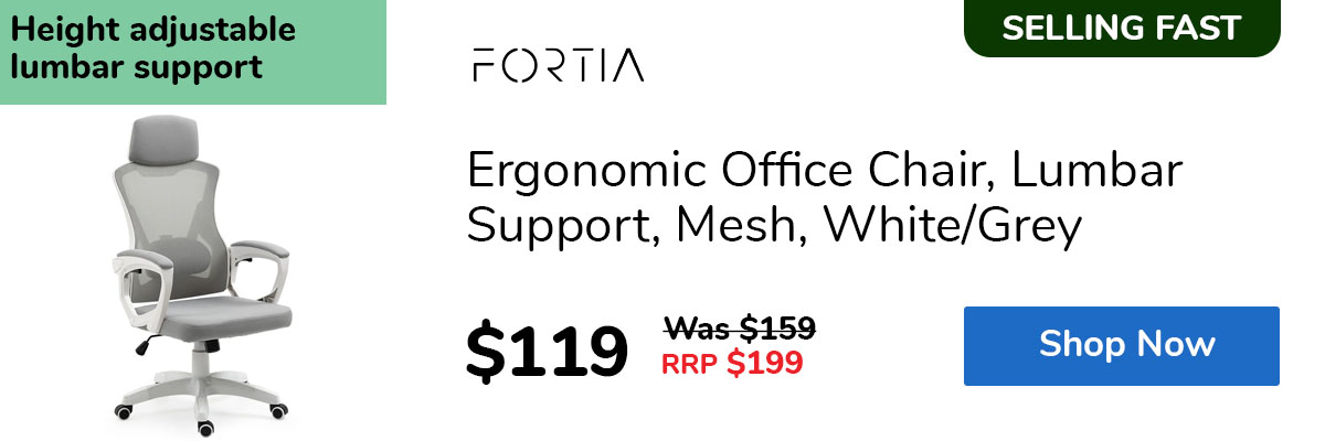 Ergonomic Office Chair, Lumbar Support, Mesh, White/Grey